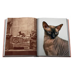 'Chic Cats' Book | Brett Martin