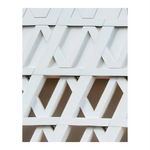 'Louis Vuitton Skin: Architecture of Luxury' Book | Singapore Edition