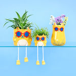 Cool Cat Plant Pot | Yellow | 16cm