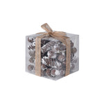 Frosted Pinecones Present with Bow Detail | 16cm