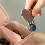 Tiny Lunch Box with Snack Picks | Tiny Farm Powder