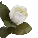 Faux Magnolia Stem | White | 78cm