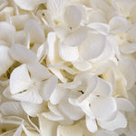 Faux Oversized Hydrangea Stem | White | 73cm