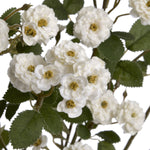 Faux Wild Meadow Rose Spray | White | 74cm