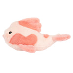 Fancy Carp