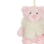 Leola Bear Winter Warmer Hanging Decoration