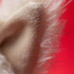 Munro Scottie Dog 'Love You' Soft Toy