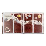 'Muswell Mole and the Buried Treasure' Book