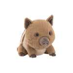 Swinley Boar Soft Toy