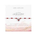 Birthstone A Little 'January' Garnet Bracelet | Silver Plated