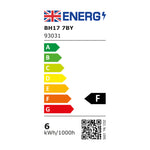 LED Filament Globe | Amber | Medium