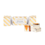 Festive Wishes Botanical Soy Wax Melt Cracker | Orange, Cinnamon & Clove | Set of 3