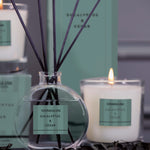 Modern Classics Scented Tumbler Candle | Eucalyptus & Cedar