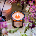 The Walled Garden Tumbler Candle | Ginger Lily