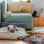 Wowl Black Dog Bowl | 28cm