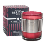 Scented Candle | Amphora Collection | Orange Blossom | 180g