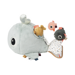 Hide & Seek Activity Toy | Wally | Blue