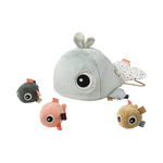 Hide & Seek Activity Toy | Wally | Blue