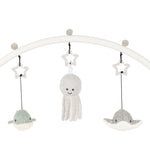 Ocean Baby Gym