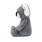 Bashful Koala | Medium