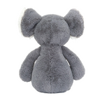 Bashful Koala | Medium