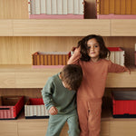 Small Weston Storage Box Set | Dusty Raspberry Mix | 2 Pack