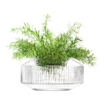 Rotunda Wide Vase | Clear