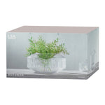 Rotunda Wide Vase | Clear