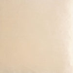 Luxe Matt Velvet Cushion | Champagne | 50x50cm