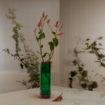 Botanist Reed Diffuser | 250ml