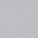 Lindy Polka White Shoelaces