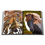 'Iceland Epic' Book | Erika Owen