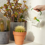 Botanical Sunflower Glass Watering Can | 1L