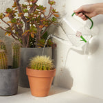 Botanical Tulip Glass Watering Can | 1L