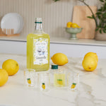 Botanical Lemon Shot Glasses | Set of 4