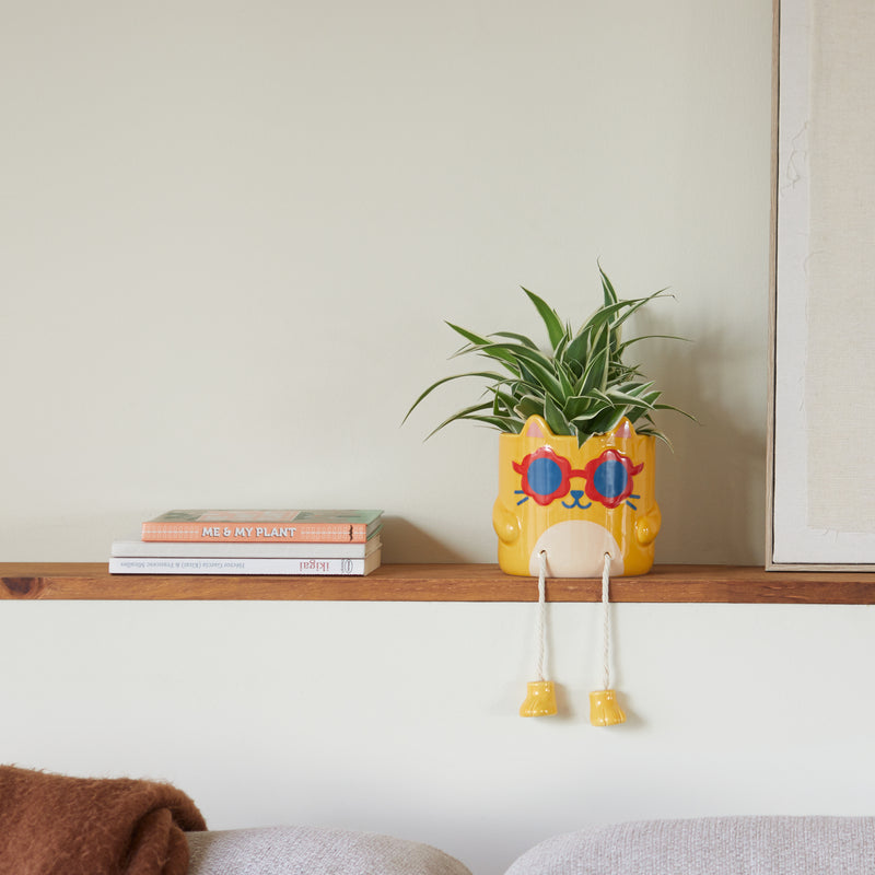 Cool Cat Plant Pot | Yellow | 16cm