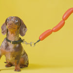 Hotdog Dog Leash | 110cm