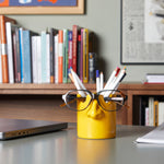 Nosey Buddy Stationery & Glasses Holder | Mustard