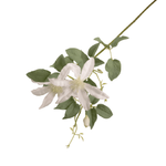 Faux Clematis Baby Star Stem | Blanc