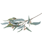 Faux Eucalyptus Nicholii Stem | Sage