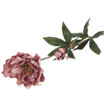 Faux Hellebore Stem | Ruby