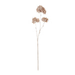 Faux Hydrangea Paniculata Stem | Beige