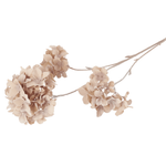 Faux Hydrangea Paniculata Stem | Beige