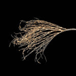 LED Winter Branch | Champagne | 260cm