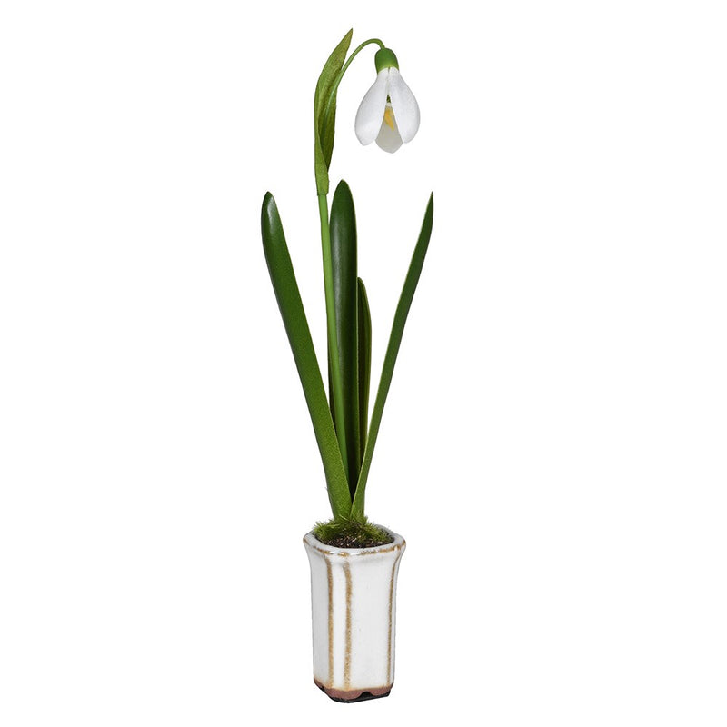 Faux Snowdrop Bulb in Ceramic Pot