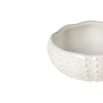 Aparte Urchin Bowl | White | 11cm