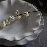 Rosa Pasta Bowl | White | 25cm