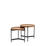 Dakota Table Nest | Mango Wood | Set of 2