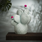 Cactus Lamp | Mint