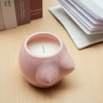 Body Shapes Boobs Candle | Pink |11cm